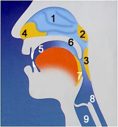 Schnittdarstellung Schnittdarstellung